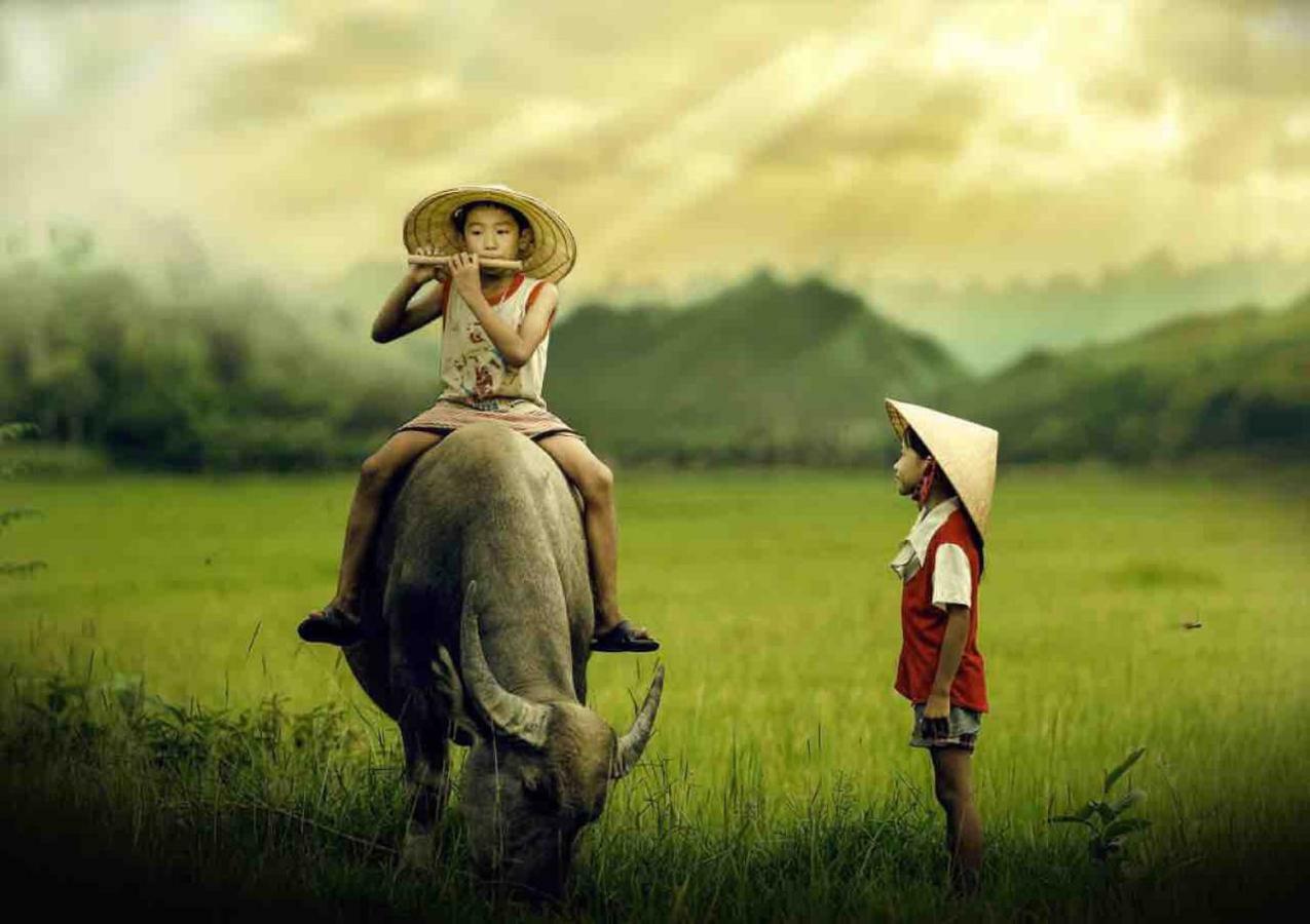 Hang Mua Happiness Homestay Ninh Binh Dış mekan fotoğraf